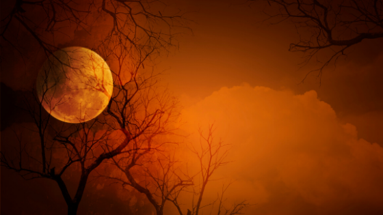 Halloween photo of a moon and trees without leaves